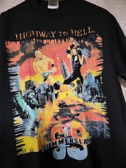 Summer Slam Highway To Hell ON A SHAKA SUPERMAX HEAVYWEIGHT GARMET DYED T SHIRT