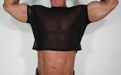 ADULT SHORT SLEEVE CROPPED SHEER SHIRT SIZE M/L