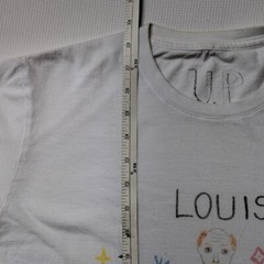 U.P. Unfortunate Portrait Pun T Shirt Louis Size Small