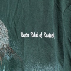 Vintage American Bald Eagle 90s Nature T Shirt Size XL Green Kentucky