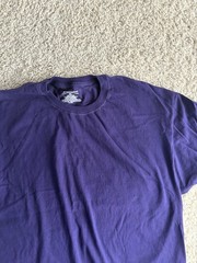 Champion shirt adult extra large 1XL purple short sleeve crewneck casual mens a2