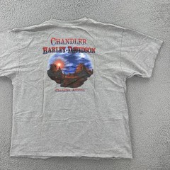Vtg Harley-Davidson Motorcycles Mens XL Gray Pocket T Shirt Chandler Arizona Y2K