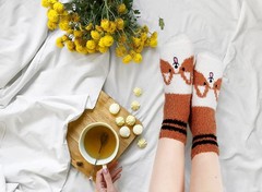 Fuzzy Slipper Socks for Women Cute Dog Fluffy Thick Warm Winter Socks Girls K…