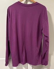 Nike ACG Embroidered Logo Long Sleeve Shirt FQ3738 506 Trail Hike Purple M NWT