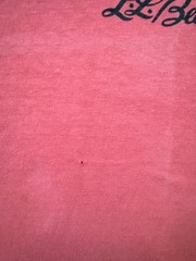 RARE LL BEAN vintage 1980s graphic tee hanes beefy tee single stitch size L