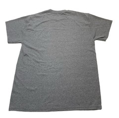 Lakeside Ohio Graphic Gray T-Shirt Medium 27 In Long/19 In Wide