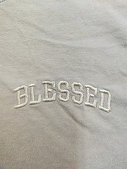 Brooklyn Cloth Mfg Co T-shirt Men Small Lt Gray Embroidered Logo BLESSED