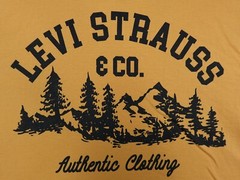 Levi’s Strauss Authentic Clothing Mountain Print Mens T-Shirt Yellow, Size Small