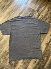 Vintage Hanes Heavyweight 50/50 T Shirt Gray Champion Adult L 42-44 Y2K