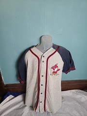 Vintage Baseball Jersey Badger Sport Made USA Size XL #19 Cardinals Sluggerbird