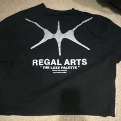 PacSun Regal Arts “The Luxe Palette” Black Graphic Print Jersey Tee Men’s L