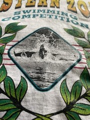 Vtg Swimming Competition T Shirt Eastern zone Buffalo NY 90s Y2K 2000 Star Swim