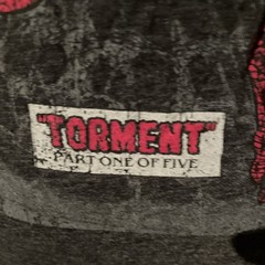 Marvel Spider-Man Shirt Comic “Torment” Size M Collector’s Item Issue Tee LN
