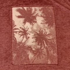 Red Men’s Express Palm tree T-shirt