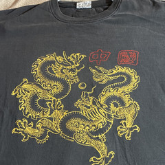 Pandak Men’s Black Dragon Graphic Print Crew Neck T-Shirt XL Regular