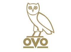 🔥 Size Large- Drake OVO 3M Reflective Owl Logo Black T-shirt Pre-owned