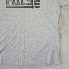 The Office Dwight Schrute False Graphic T-Shirt Mens XL Gray Ripple Junction NWT