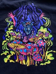Alab T-Shirt LargeMagic Mushroom Wizard Psychadelic Psilocybin Skater Streetwear
