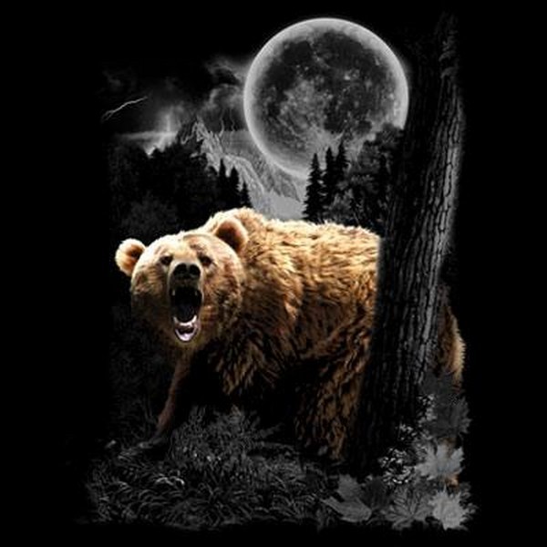 Bear Wilderness T Shirt Choose Style & Size Up to 4XL 10471