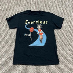 Collection Everclear Poster Album Gift For Fan S to 5XL T-shirt BL2135