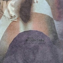 The Mountain White Horse American Flag Print Purple Shirt Size XL