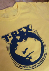 Collection T Rex Marc Bolan Band Gift For Fan S to 5XL T-shirt