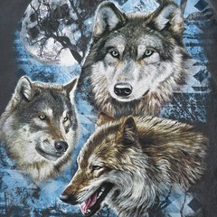 Southwestern Wolf Retro Wolf Tee Mens L Gray Shirt Nature Animals Outdoors Y2K