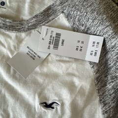 White/Gray Hollister Men’s Short Sleeve Crew Neck T-Shirt Must Have Collection L