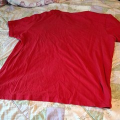 Aéropostale Men’s Single Stitch Pacific Northwest Nature Graphic Tee Size L