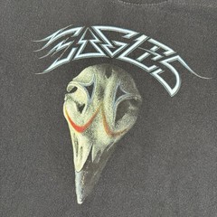 The Eagles Greatest Hits Shirt Mens XL Black Skull Graphic Rock Band Concert Tee
