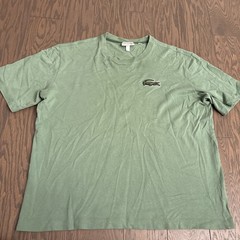 Lacoste Unisex Loose Fit Badge T Shirt Large Preppy Green Luxury Casual Organic