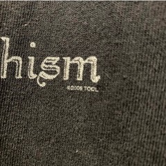 Tool Schism 2006 Vintage Blue Label Anvil Tear Away Mens Medium Band Tee Shirt