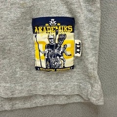 Akademiks Stadium Division AKS 9 Crew Graphic T-Shirt XXL Gray Y2K Embroidered
