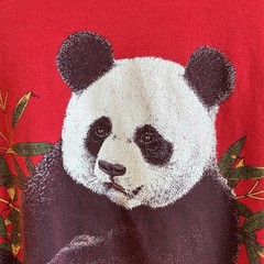 VTG 90s Screen Stars Panda Bamboo Single Stitch T-Shirt Red Med USA