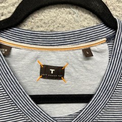 Left Coast Tee Shirt Mens L Blue Striped V Neck Cotton Peru Preppy Classic