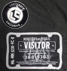 LC Harry Potter Wizarding World Ministry Of Magic Visitor T-Shirt CHOOSE SIZE