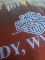 Vintage 2000’s harley davidson wyoming tee shirt size 2xl