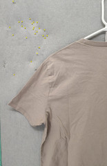 Asos Men Shirt Medium Beige 100% Cotton Short Sleeve Crew Neck Regular Fit Tee