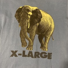 Hanes Beefy X-Large Elephant Blue T-Shirt Size Medium Lincoln Zoo