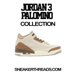 Tees To Match Jordan 3 Palomino Sneakers – Hustle Bird Shirt