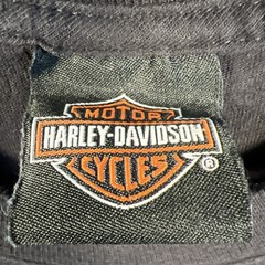 Harley-Davidson Tee Mens Small Black Short Sleeve Farthest Outpost, Fairbanks AK