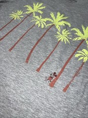WDW Disney Parks Shirt Sz SMALL Palm Trees & Mickey Mouse Walt Disney World NWOT