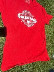 Wear The Peace Unisex Adult Heavy Tee Red Palestine *flaw