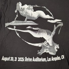Ethel Cain Shirt Men’s Medium perverts tour goth grunge The Shrine Los Angeles