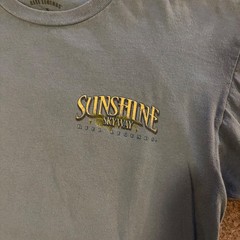 Reel Legends Mens Sunshine Skyway Fishing Shark Graphic T-Shirt Blue Medium