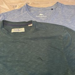 Tommy Bahama Men’s Lot of 2 Solid Knit T-Shirts L/G Blue V-Neck Green Crew