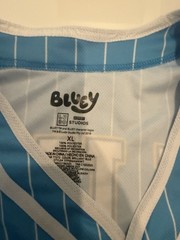 Bluey and Bingo “This is Fun” #18 Men’s Jersey Blue • XL Dad baseball