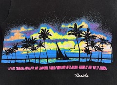 Vtg Fruit of the Loom Florida Neon On Black TShirt Adult Large Single Stitch 90s