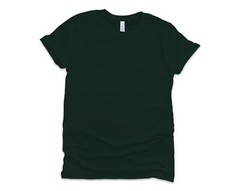 Bella + Canvas Unisex T Shirt Short-Sleeve 100% Cotton Jersey Tee 3001C T-Shirt