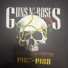 Large Guns And Roses Tee